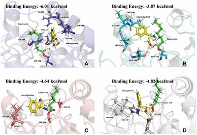 Optimization of the Lipase-Catalyzed Selective Amidation of Phenylglycinol